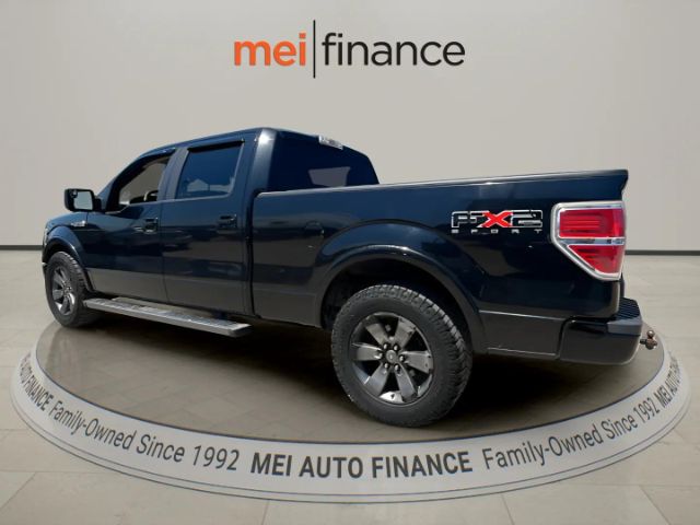 2010 Ford F-150
