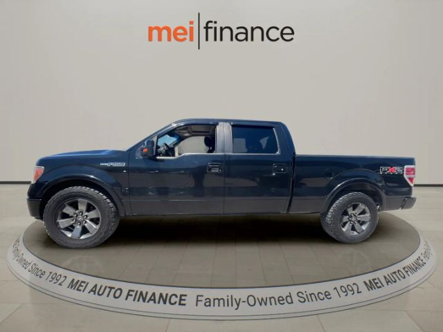 2010 Ford F-150